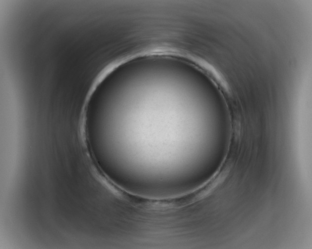X0000115371374200911101238