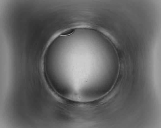 X0000115371375200911101238
