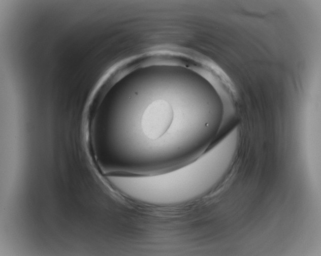 X0000115371376200911101237