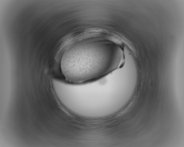 X0000115371377200911101237