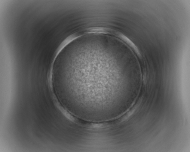 X0000115371378200911101237