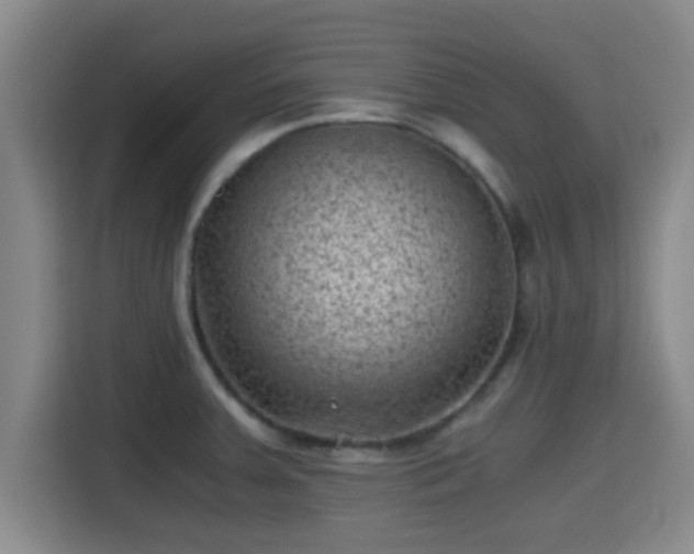 X0000115371379200911101237