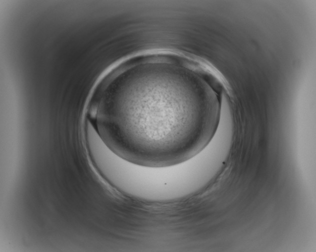 X0000115371380200911101237