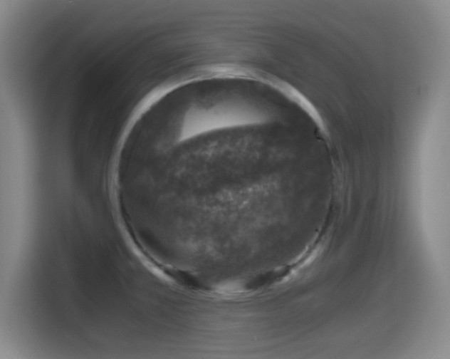 X0000115371381200911101237