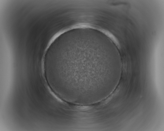 X0000115371382200911101237