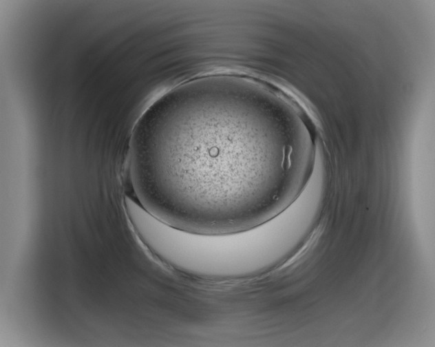 X0000115371385200911101237