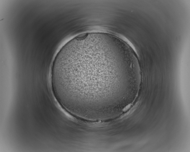 X0000115371387200911101237