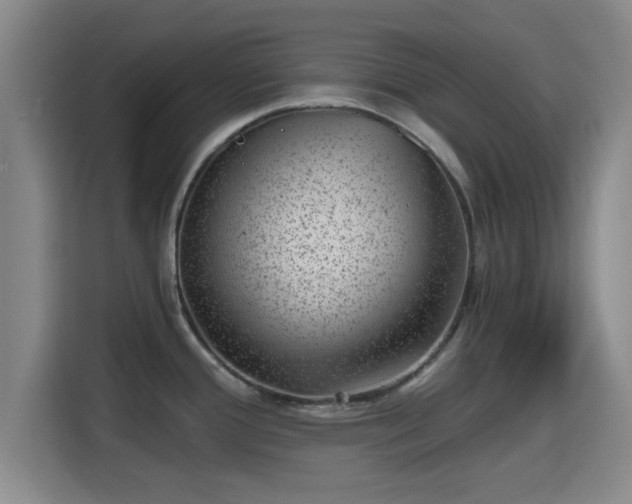 X0000115371388200911101237