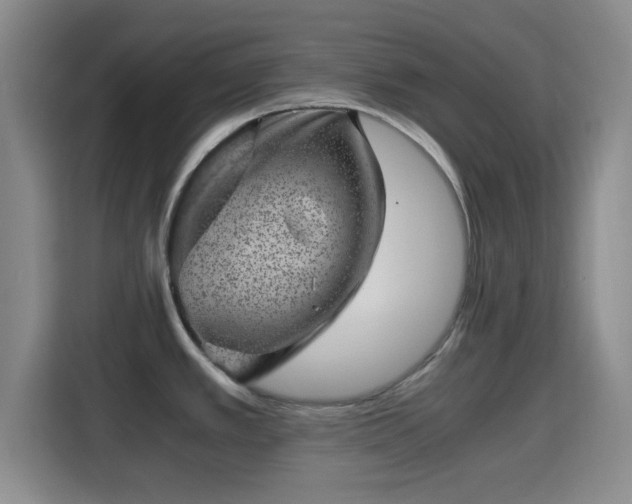 X0000115371389200911101237