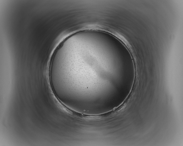 X0000115371392200911101237