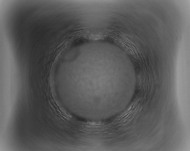 X0000115371393200911101237