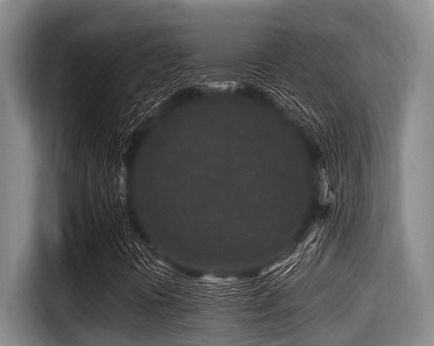 X0000115371394200911101237