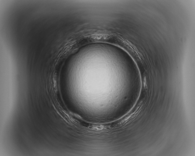 X0000115371396200911101237