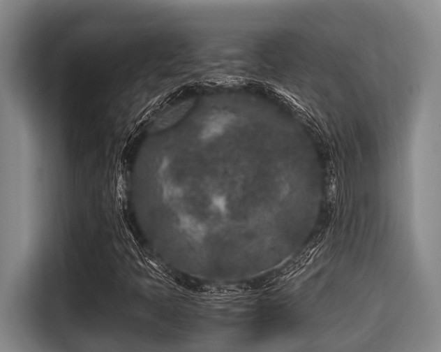 X0000115371397200911101237
