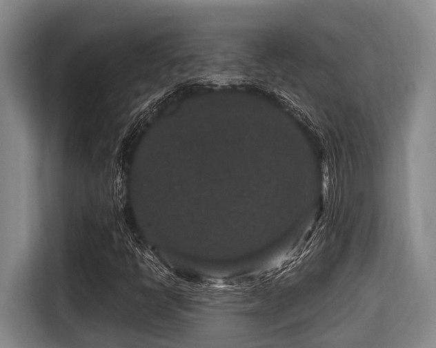 X0000115371398200911101237