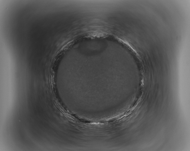 X0000115371399200911101237