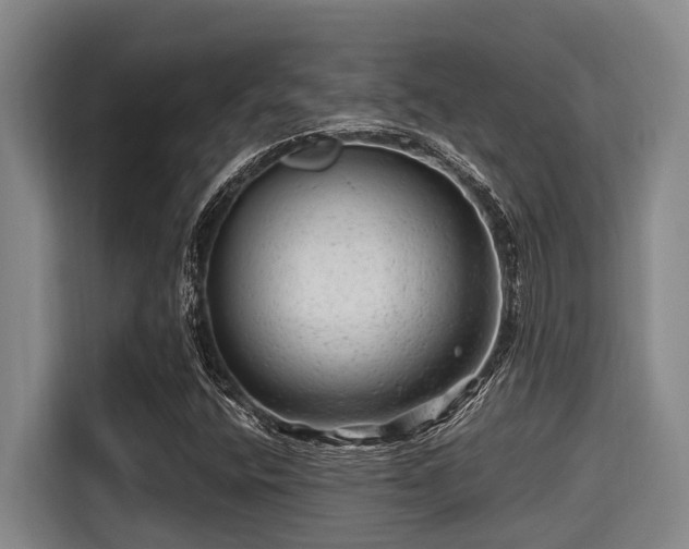 X0000115371400200911101237