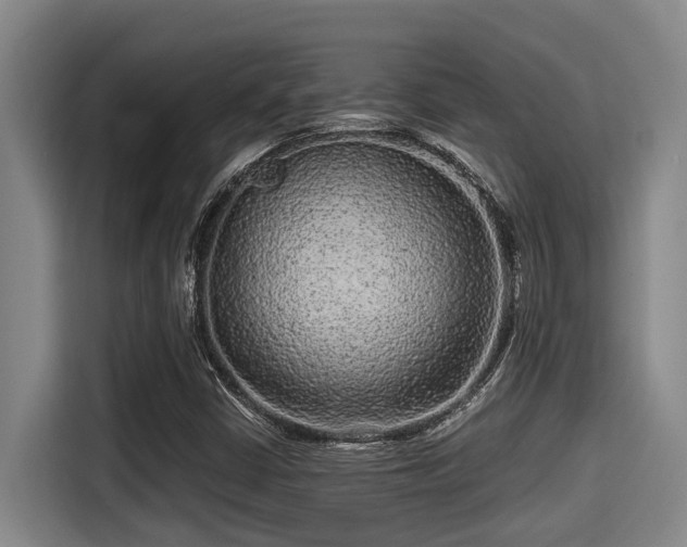 X0000115371402200911101237