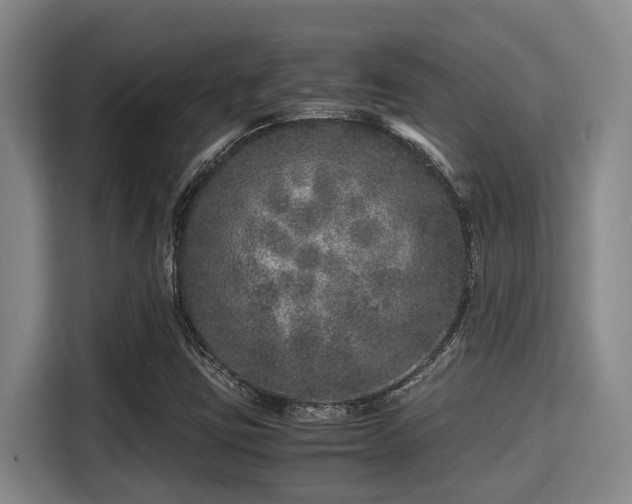 X0000115371403200911101237