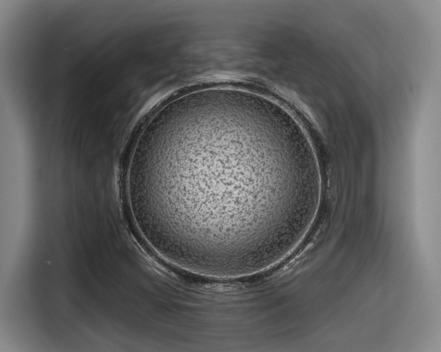 X0000115371404200911101237