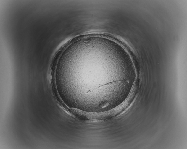 X0000115371406200911101237
