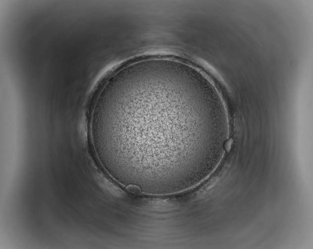 X0000115371408200911101237