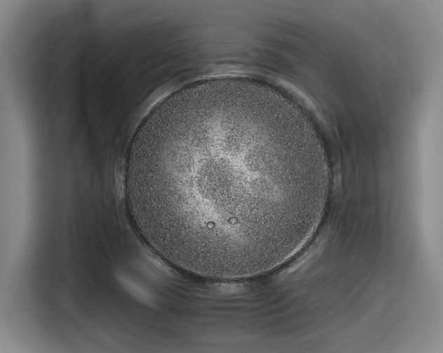 X0000115371409200911101237