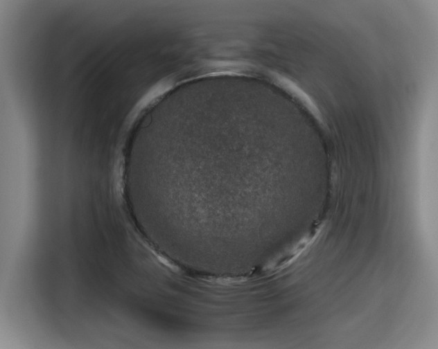 X0000115371411200911101237