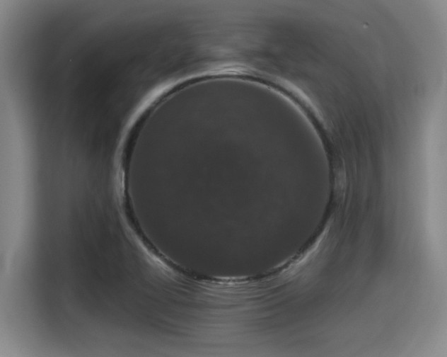 X0000115371414200911101237