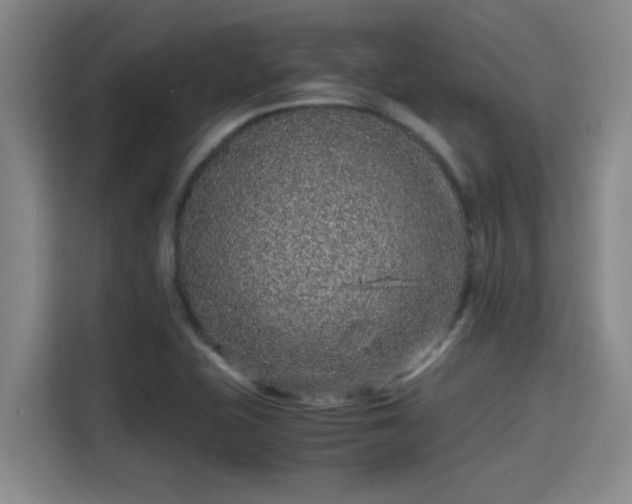 X0000115371415200911101237