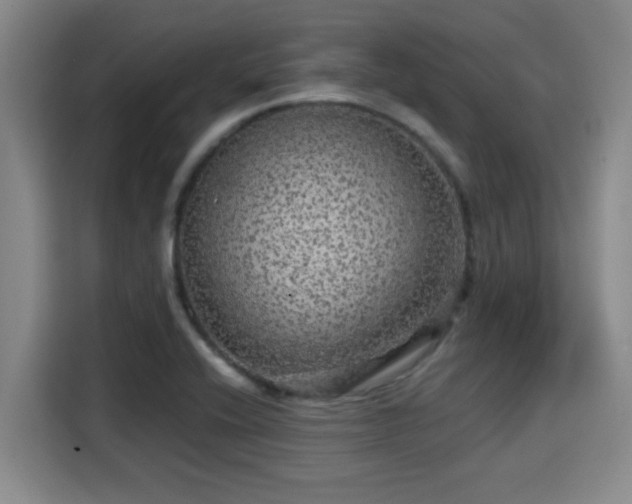X0000115371416200911101237