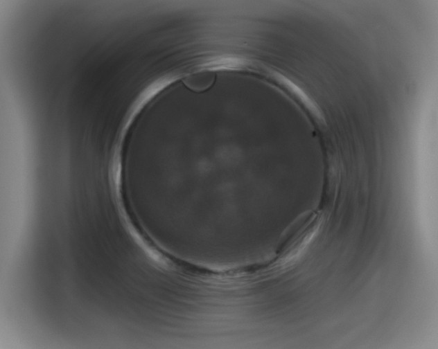 X0000115371418200911101237