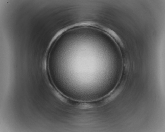 X0000115371420200911101237