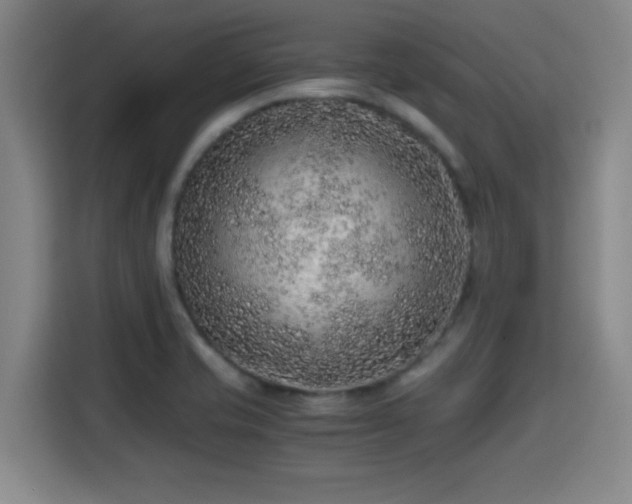 X0000115371421200911101237