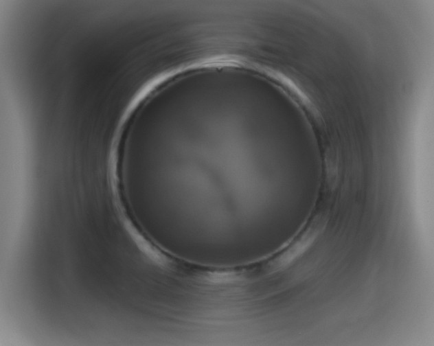 X0000115371422200911101237