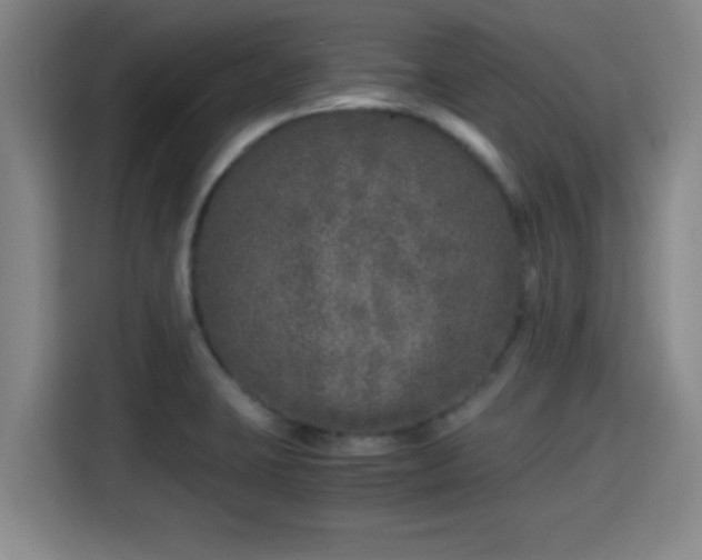 X0000115371423200911101237