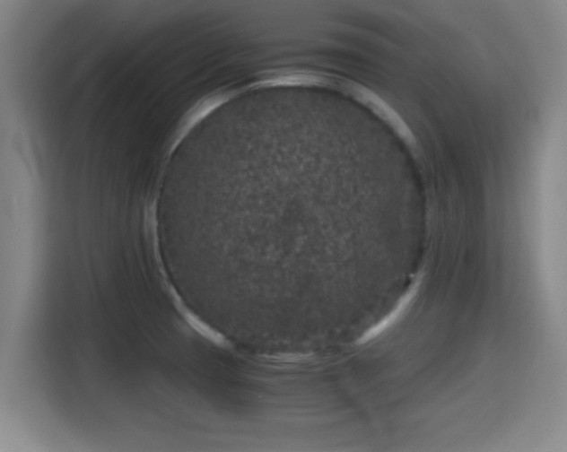X0000115371425200911101237