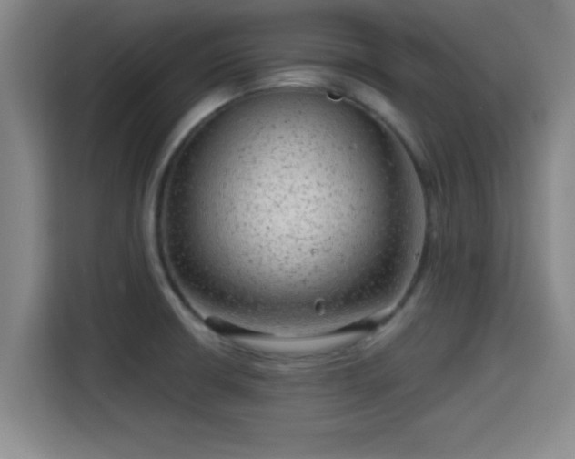 X0000115371426200911101237