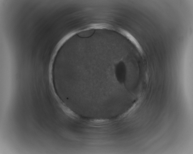 X0000115371427200911101237