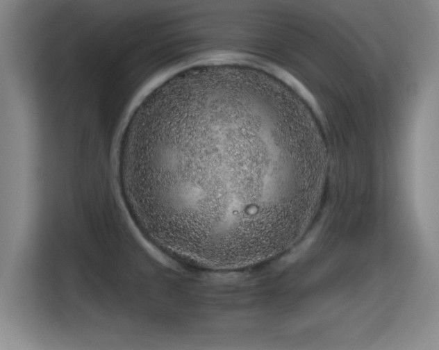 X0000115371429200911101237