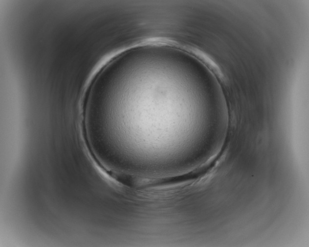 X0000115371430200911101237