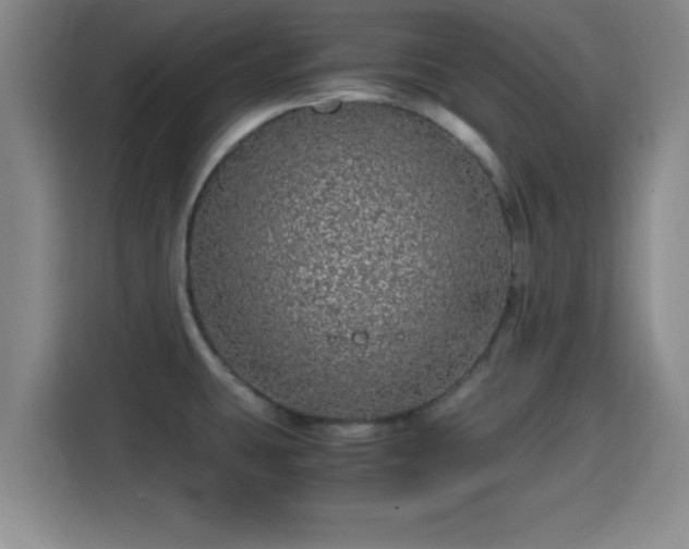 X0000115371431200911101237