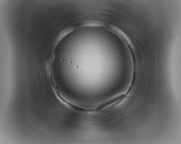 X0000115371433200911101237