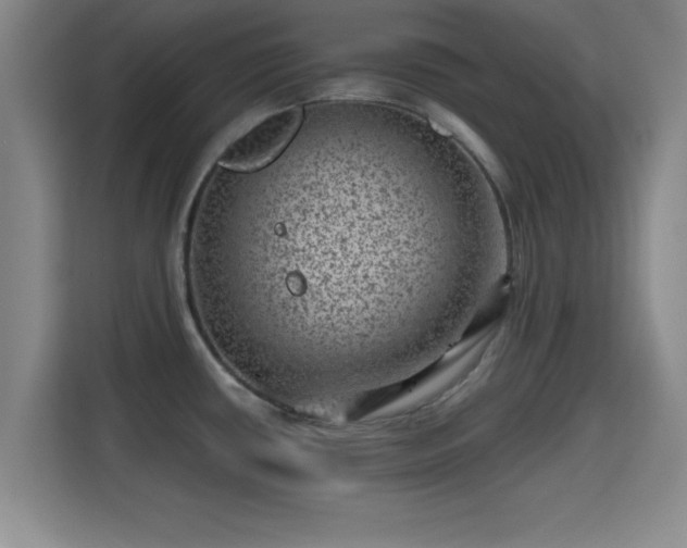 X0000115371434200911101237
