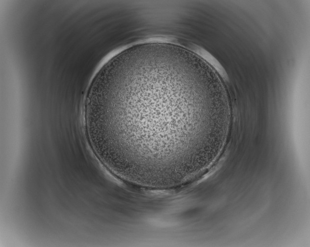 X0000115371436200911101237