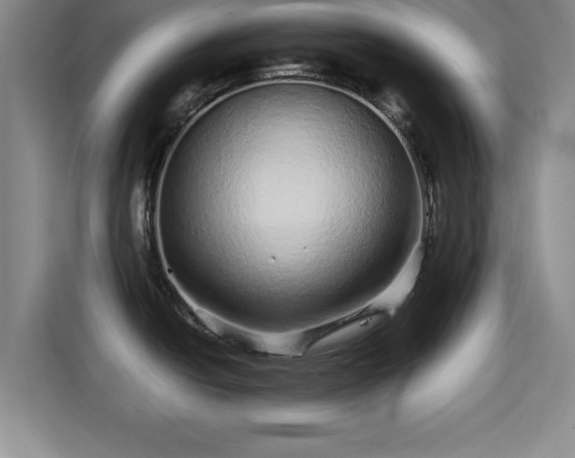 X0000115371438200911101237