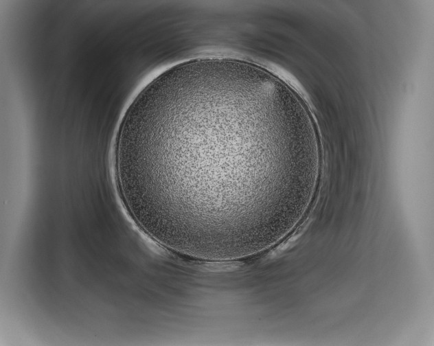 X0000115371440200911101237
