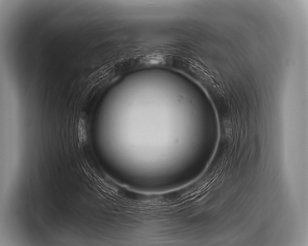 X0000115371442200911101237