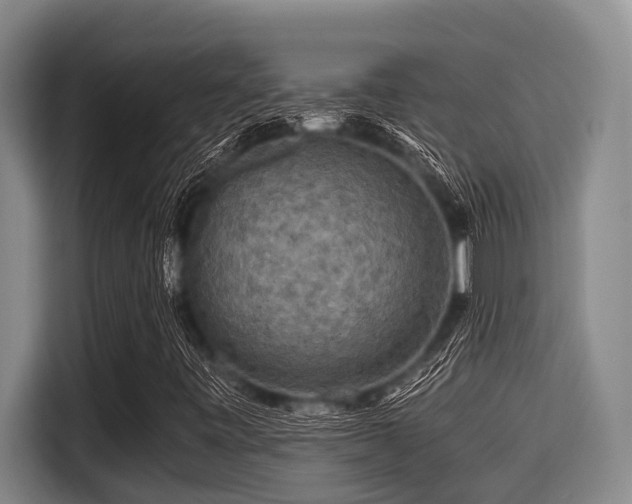 X0000115371443200911101237