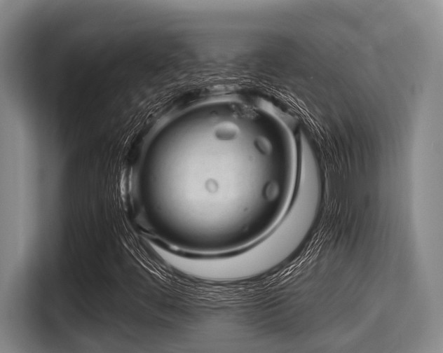 X0000115371444200911101237